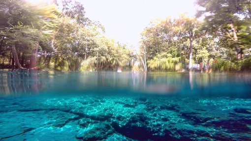 Snorkeling 3 of Florida's Freshwater Springs
