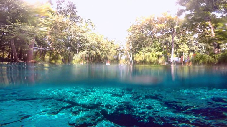 Ginnie Springs, Florida, 2018