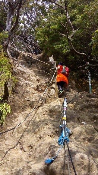 Conquering the devil's hill Mount Gede Pangrango Bogor West Of Java