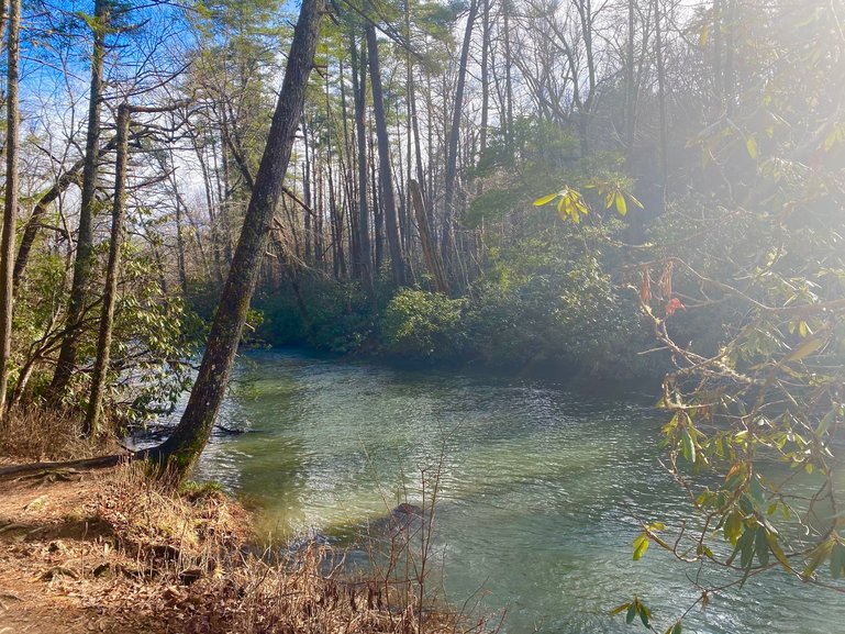 The calming waters of the Abrams Creek 