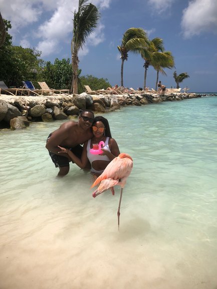 Flamingos in Aruba