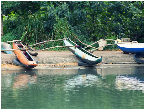 Sri Lanka Madhu River Safari and Island Tour