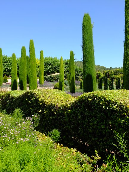 Val Joanis Vineyard, Pertuis, Provence, France