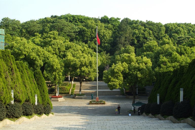 A large open space surrounded by forests