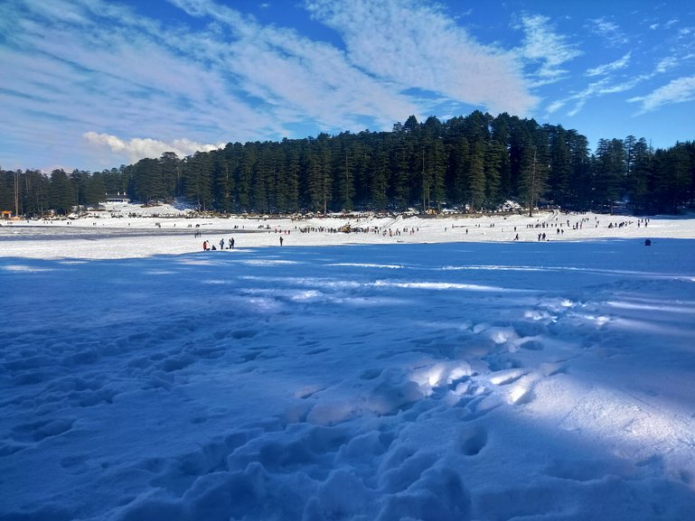 Khajjiar and the cedar trees....