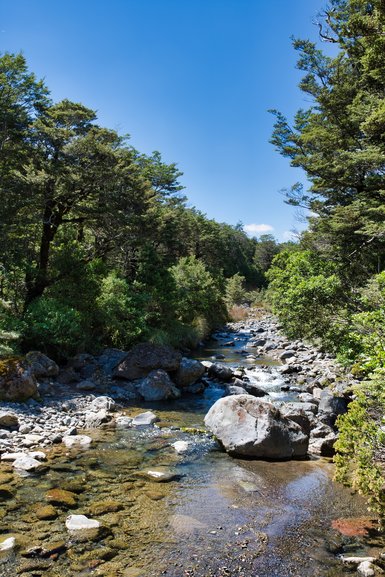 The Wairere stream down from the Taranaki Falls