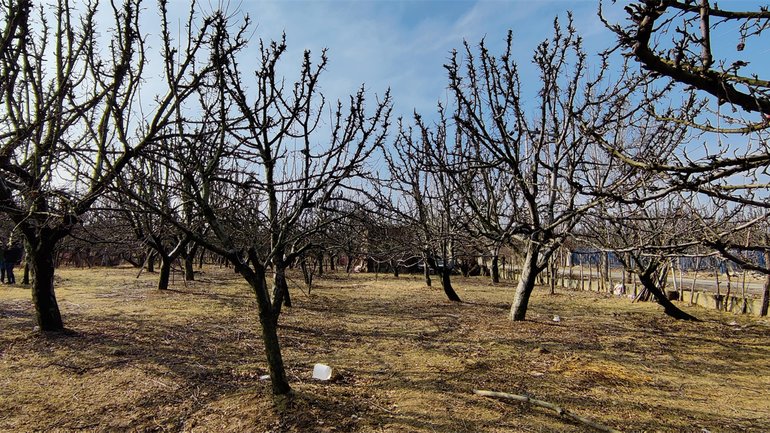 On the way to Pahalgam, Apple Valley