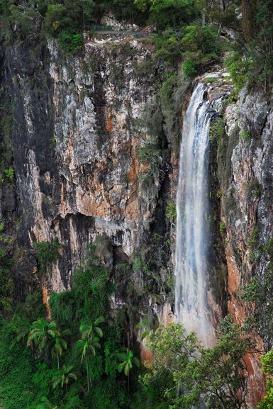 The view from the western lookout of Purling Brook Falls