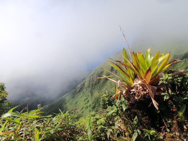 Mount Pelée volcano