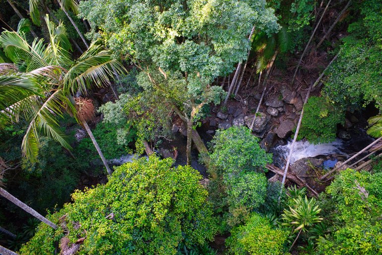 The view to the creek 30-metres below you from the end of the Cantilever