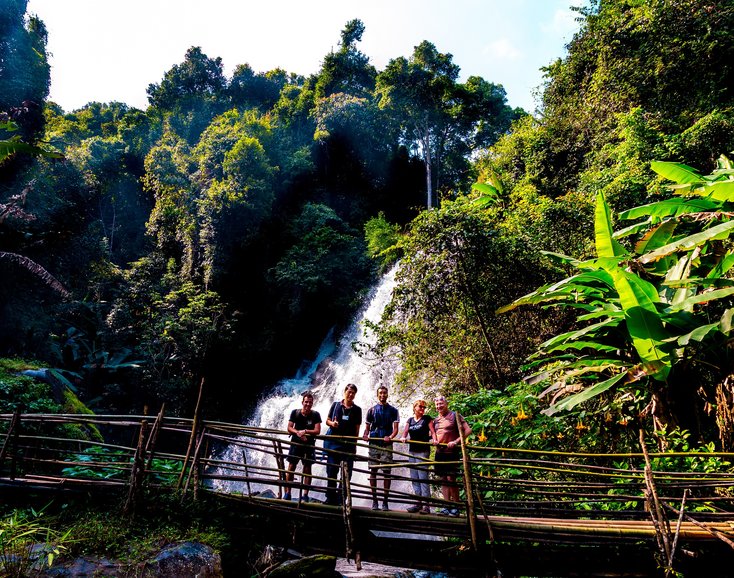 Trekking in the forest