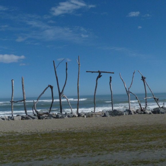 Hokitika Driftwood