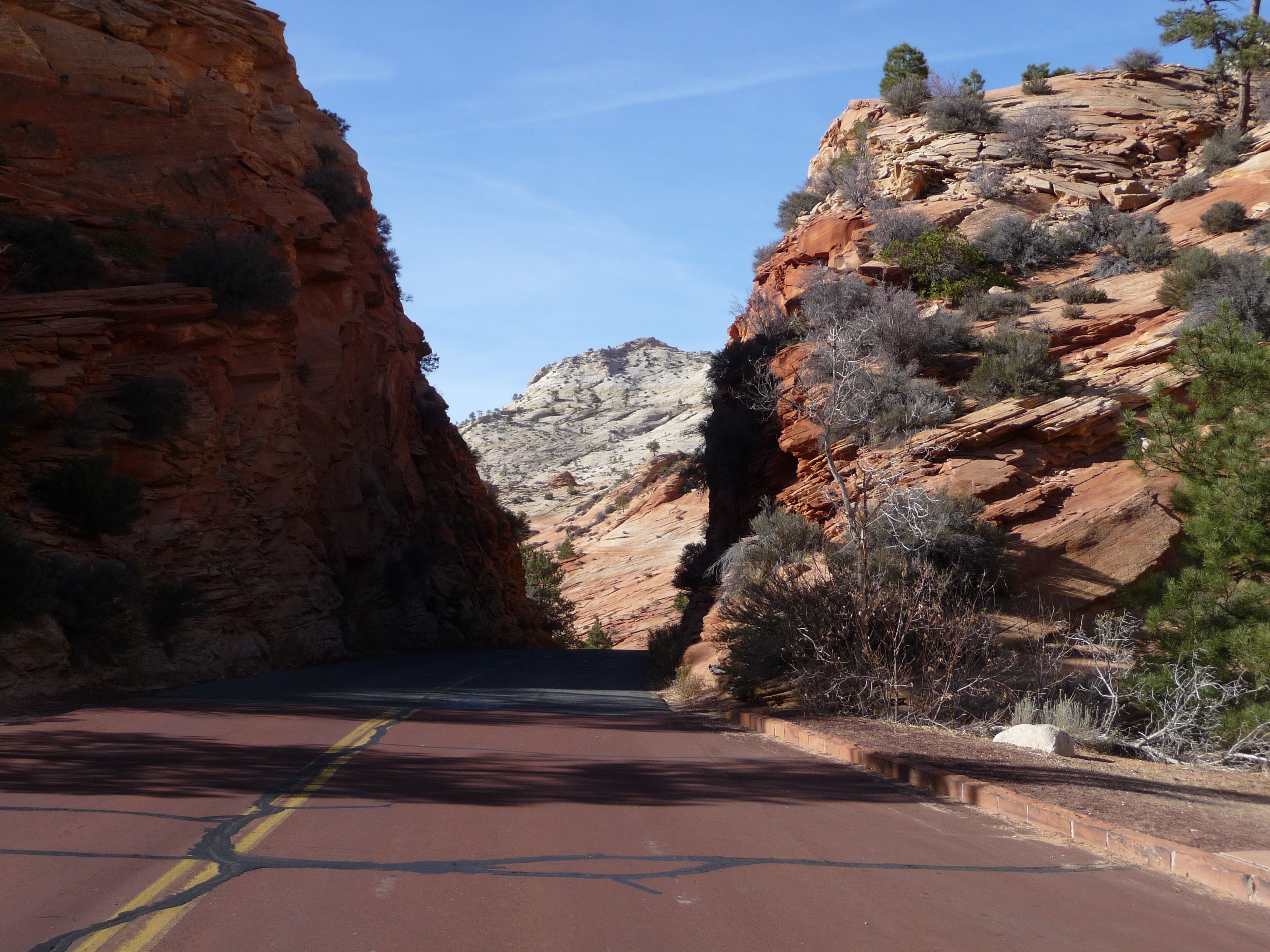 Lunch at Zion National Park