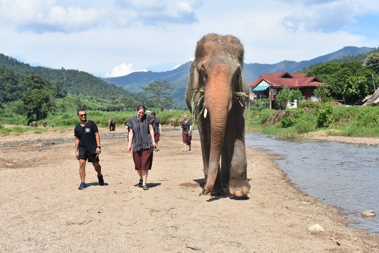 Wonderful Elephants