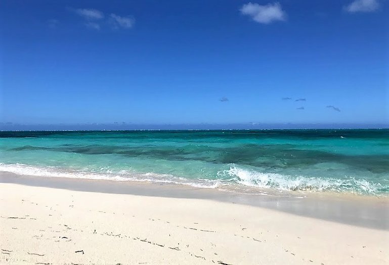 Snorkel at Turtle Cove