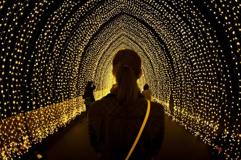 Inside of the Cathedral of Light during Vivid Festival