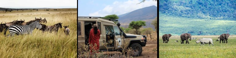 Taste Of Serengeti Safari - Tanzania