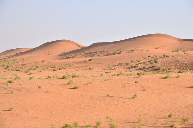 The Saudi Desert