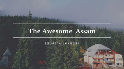 One Checklist That You Should Keep In Mind Before Visiting Assam!