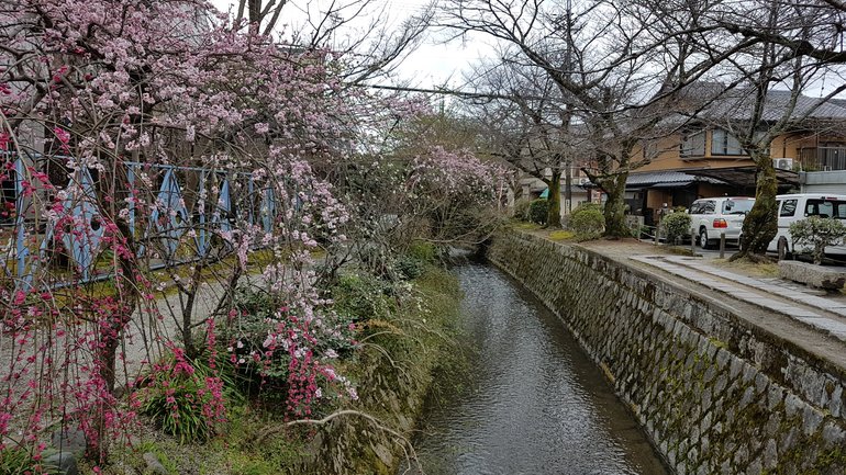 Philosopher's Walk