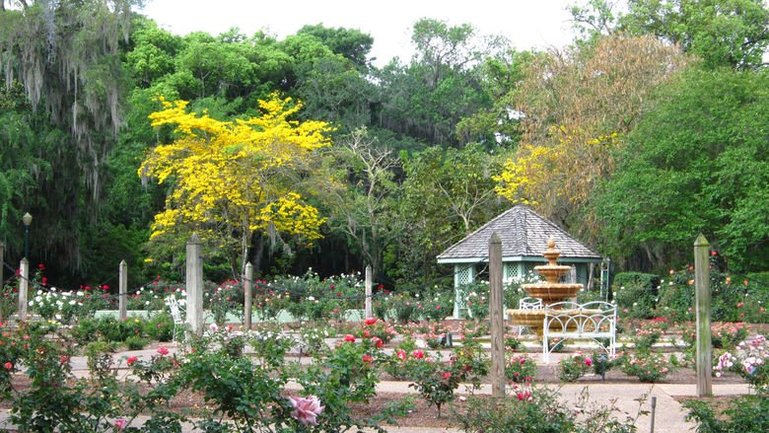 The Harry P Leu Gardens