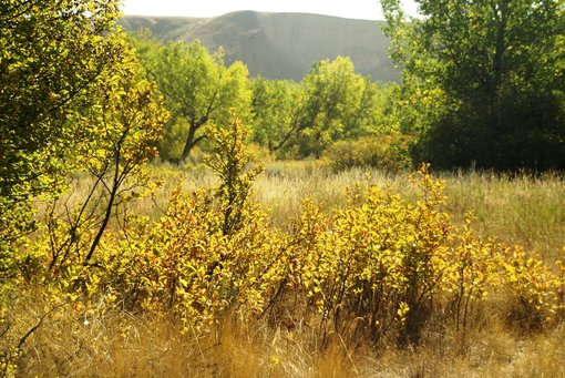 Five Colourful Day Trips to Explore Around Southeast Alberta This Fall