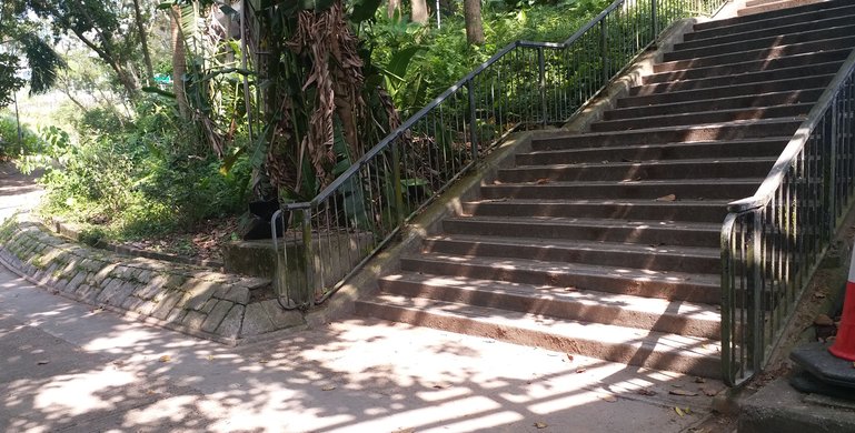 Stairs lead us up to Tat Wan Road (get away from the smelly nullah) 