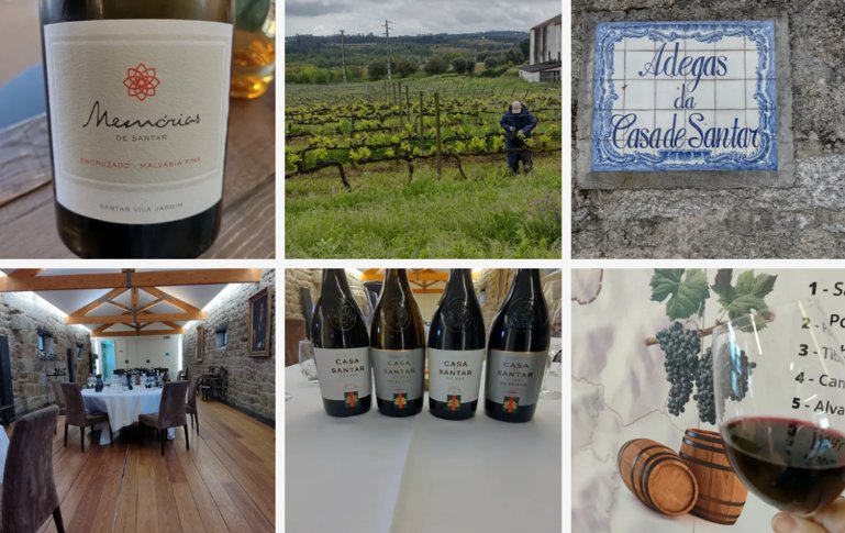 Wine tastings and tours. Photos by Paul Wilcox.