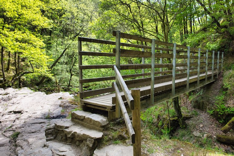 One of the bridges on the track