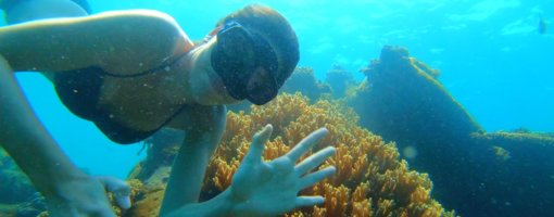 Best Snorkeling & Diving Spots in an Thoi Islands, Phu Quoc, Vietnam