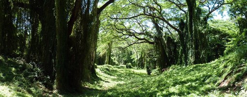 Josefina Island is a Unique Place for Trekking & Slow Travel in Havana