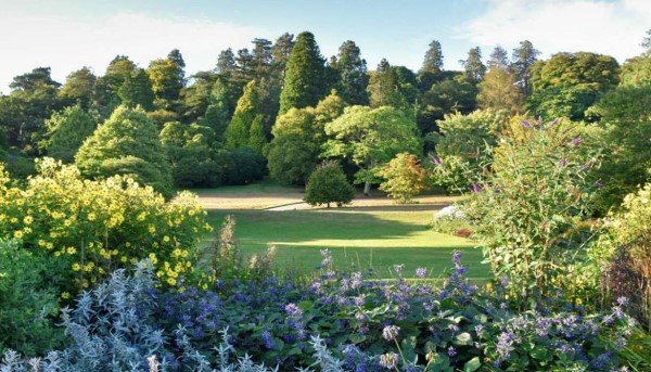 Killerton House and Gardens