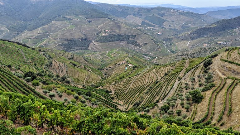 Douro Valley