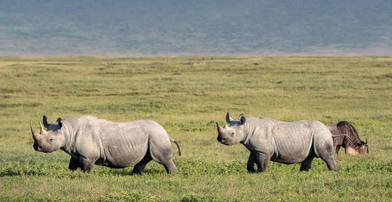 ngorongoro crater