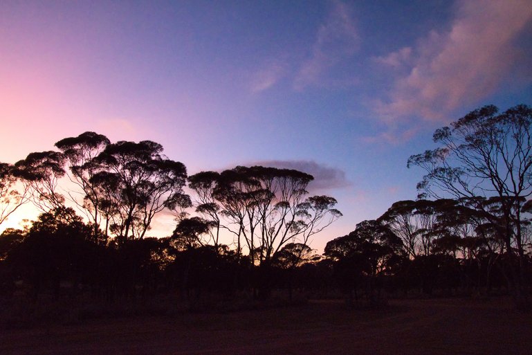 One of the amazing sunsets at Mt. Thirsty. 