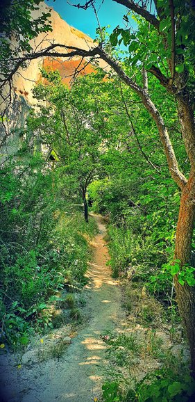 Beginning of the trail 