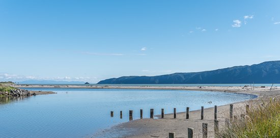 Waikanae River Estuary