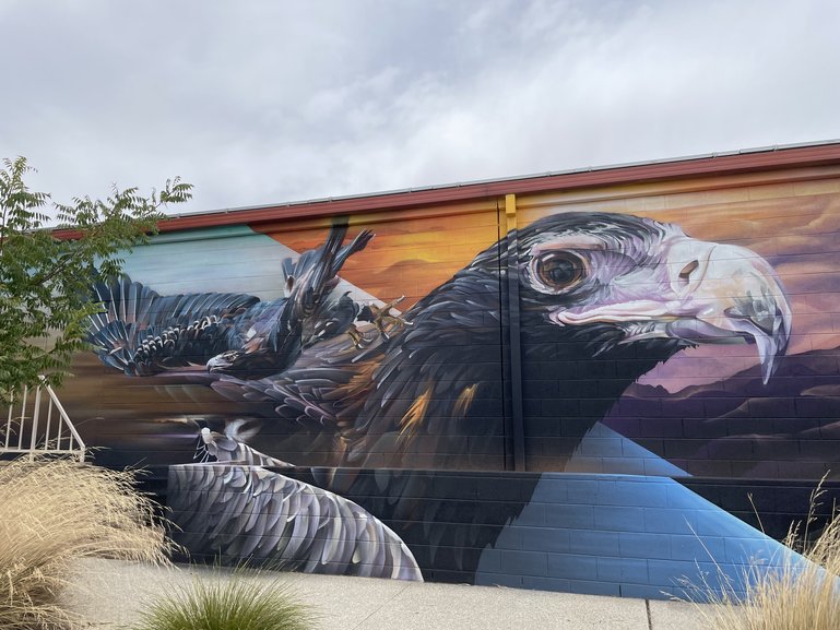 The Wedge-tailed Eagle is painted on the side of Randalls Foodworks at 15 Kerr Street.