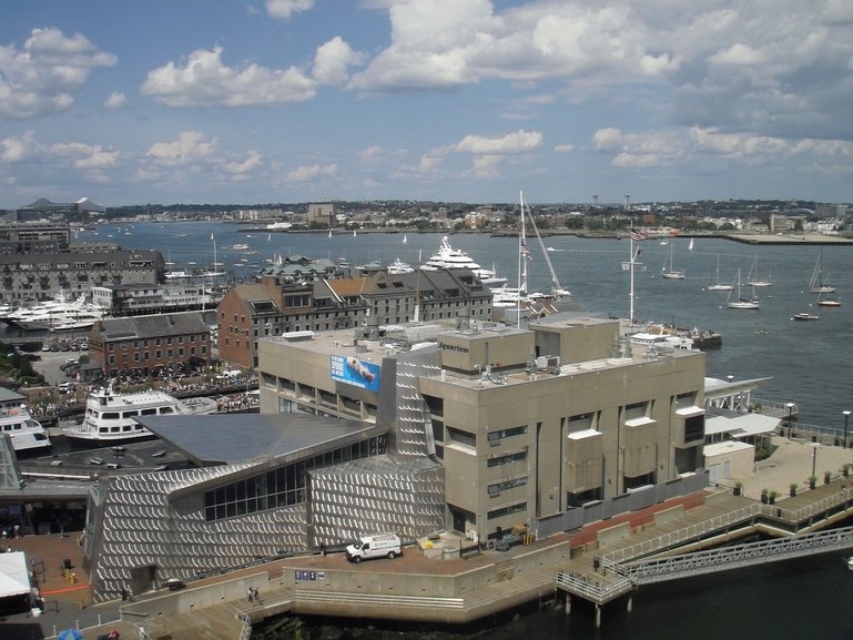 New England Aquarium