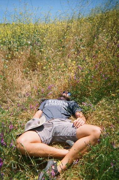 Josh laying in the flowers on a recent day trip.