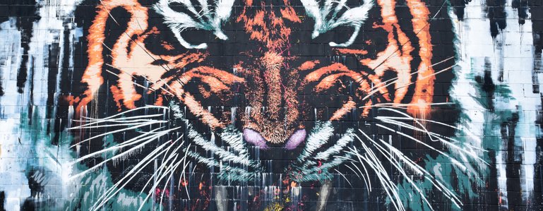 The Tiger mural on Canal street alongside the Clyde