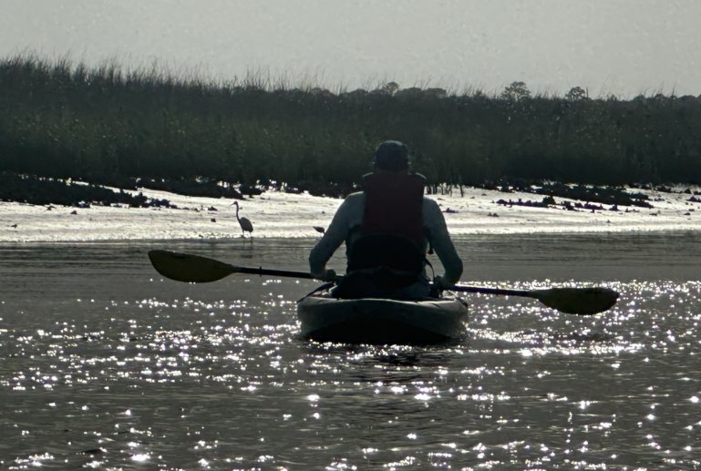 Kayak the salt marshes near Folly Beach