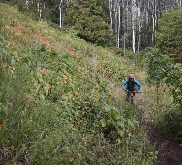 Riding Park City Mountain with White Pine Touring