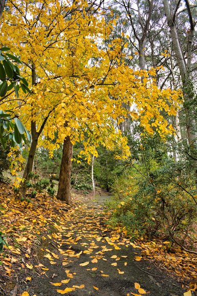 I was there at the beginning of winter, but autumn colours were still abundant