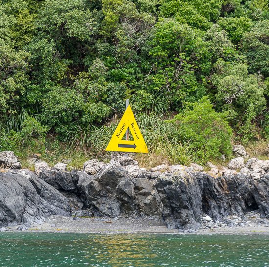 Kapiti Marine Reserve