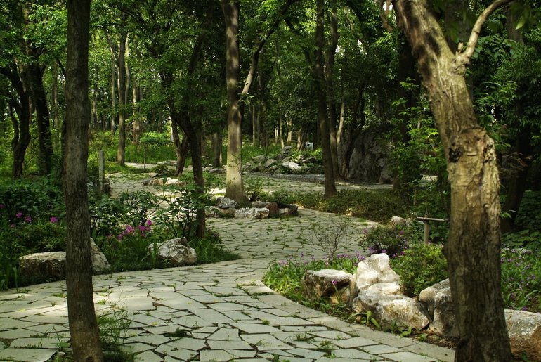Park on the top of Phoenix Hill