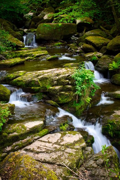 Great views of waterfalls along the track