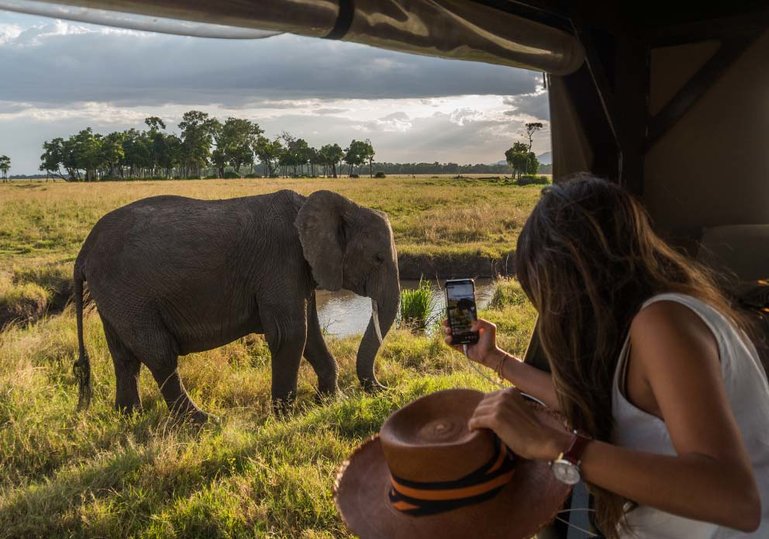 Safari game drive