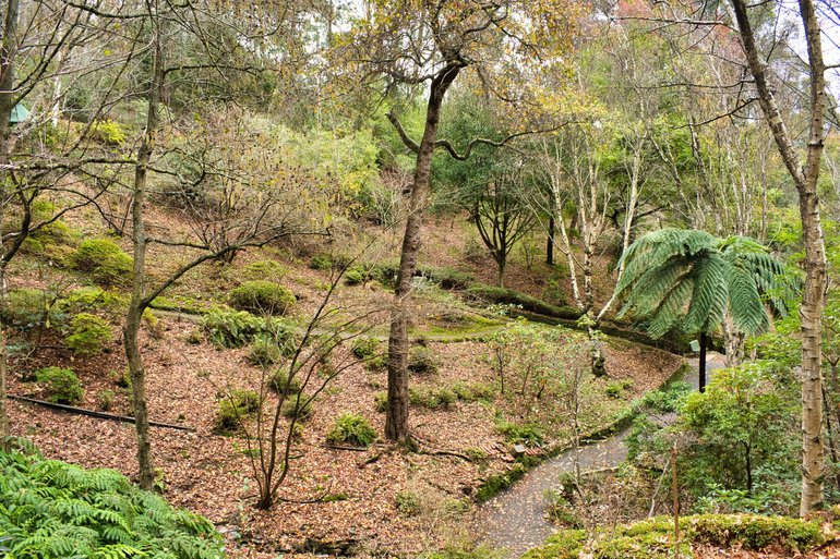 Paths criss-cross the parkland with steep sections heading back up to the upper car park