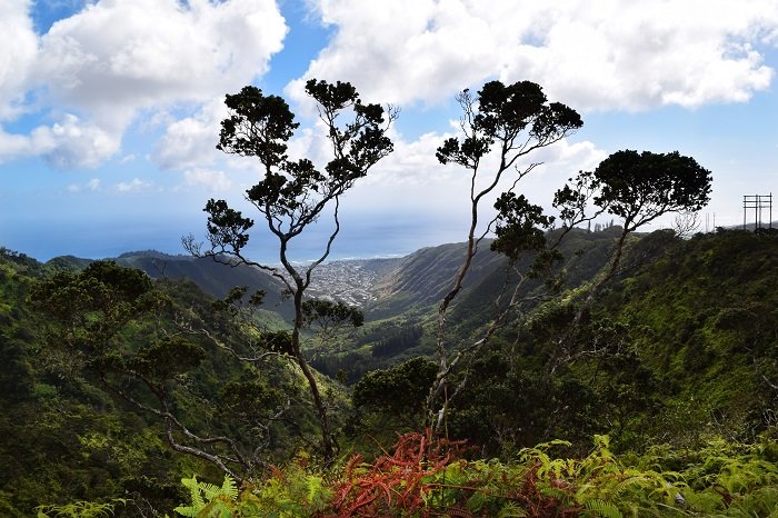 Wiliwilinui Ridge Trail, Oahu, Hawaii